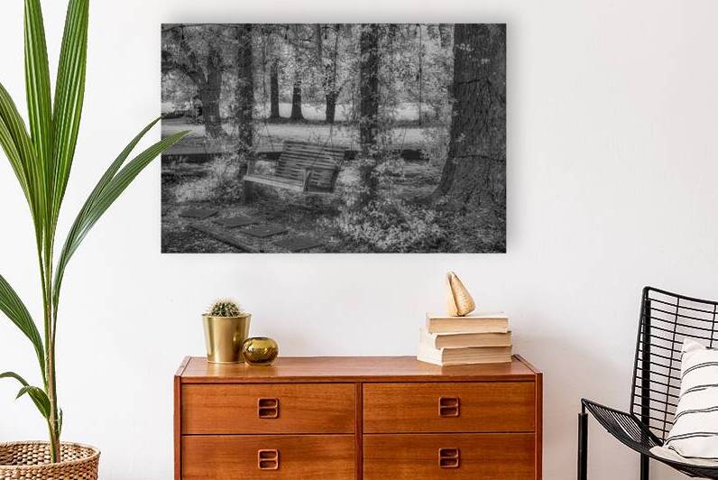 Echoes of Time: Garden Swing Serenity by Dream World Images