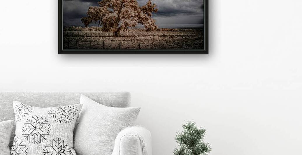 Lone Tree in Saint Bernards-2 by Dream World Images