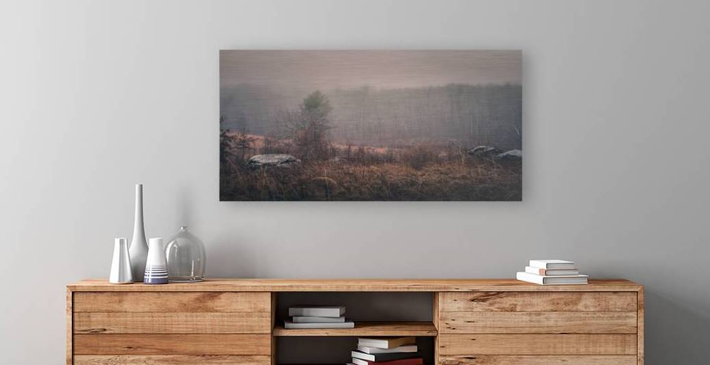 Cocoa by Dream World Images