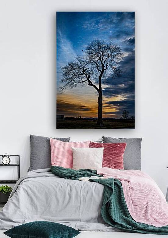 Winters Last Light by Dream World Images