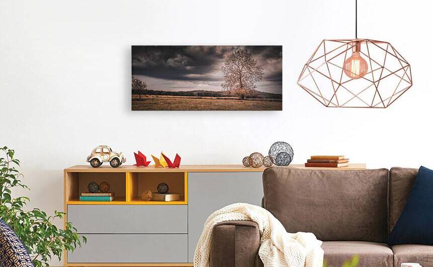 Lone Tree Storm by Dream World Images