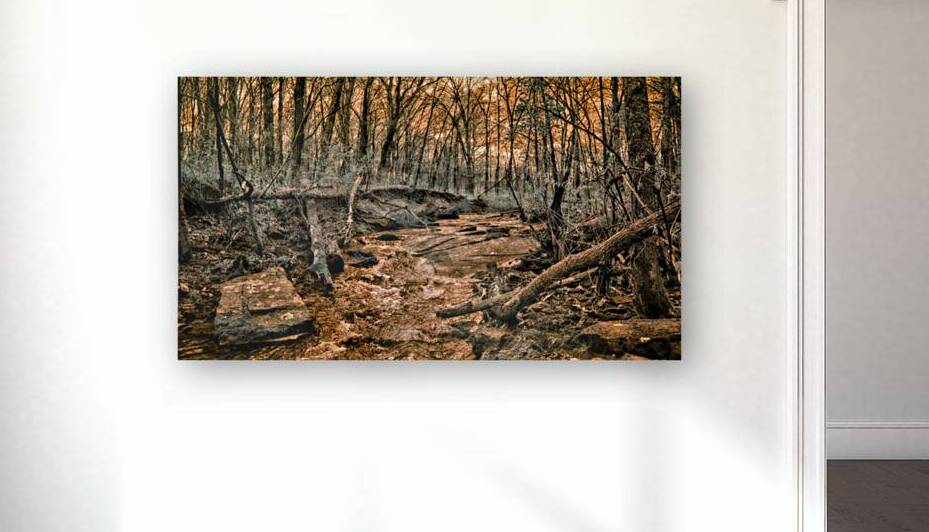 Ghostly Flow: Exploring Gettysburgs Bloody Run in Infrared by Dream World Images