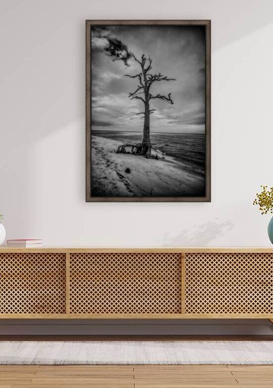 Coastal Sentinel by Dream World Images