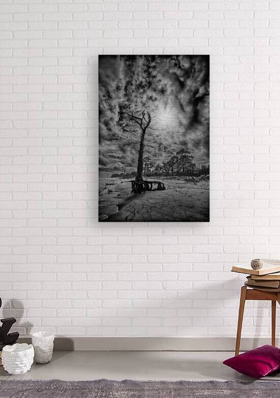 Shadowy by Dream World Images