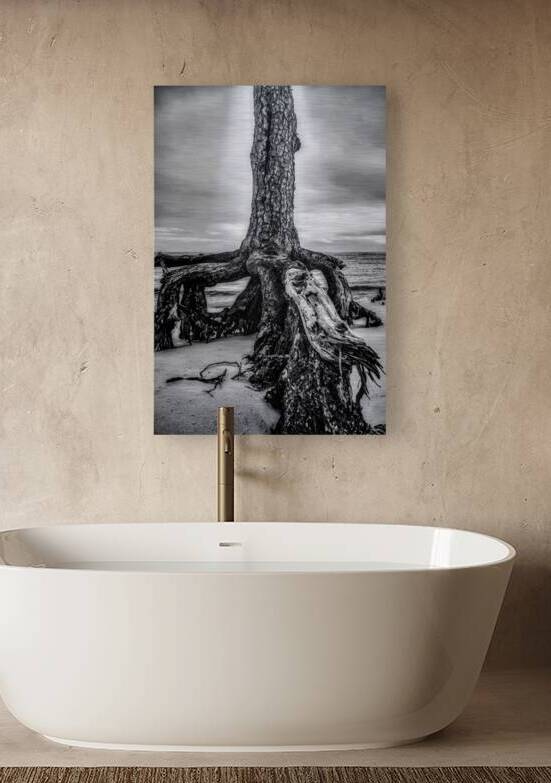 Rooted in Sand by Dream World Images