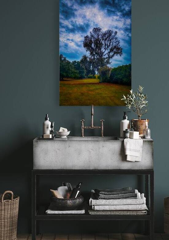 Southern Oak Storm Dance by Dream World Images