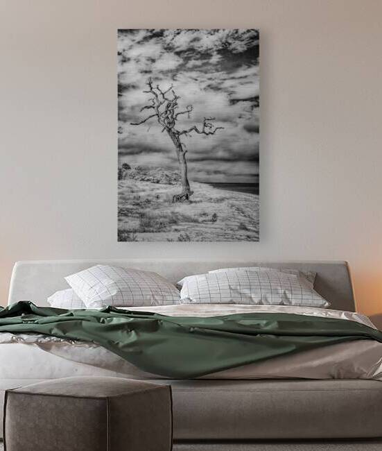 Alone and Lost by Dream World Images