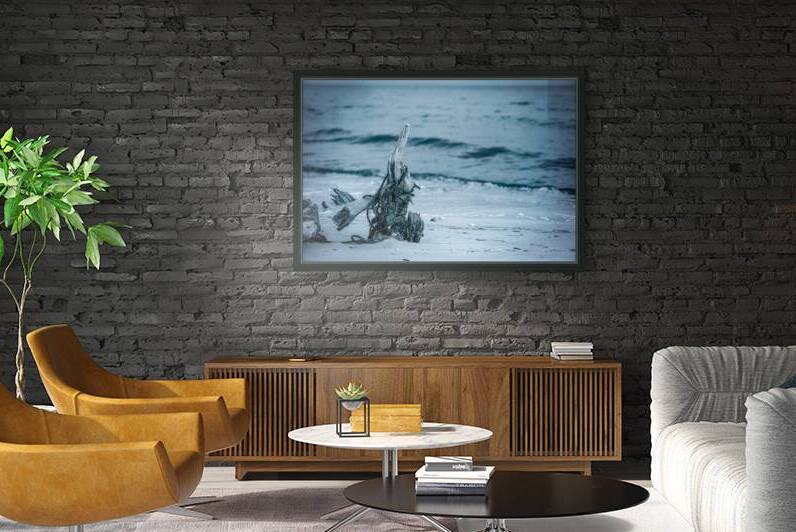 Oceans Driftwood Sentinel by Dream World Images