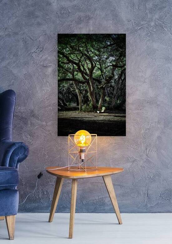 Oak Swing by Dream World Images