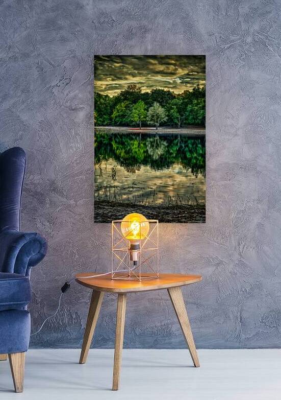 Florida Dreamscapes: Indian Lake State Forest by Dream World Images