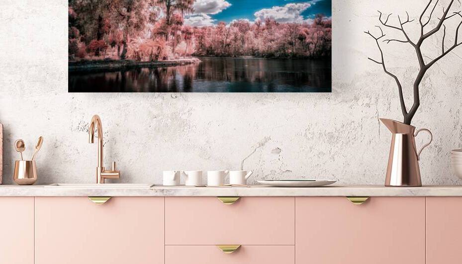 Fantastical Foliage: Silver Springs State Park by Dream World Images