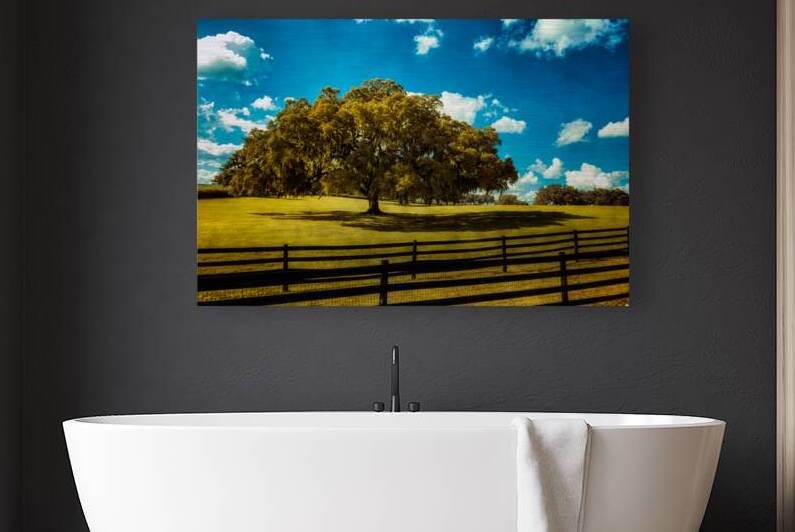 Majestic Oak: Exploring Ocalas Enchanting Back Roads by Dream World Images