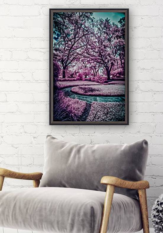 Whispers of Wonder: Navigating the Mystical Labyrinth in Shalom Park Ocala Florida by Dream World Images