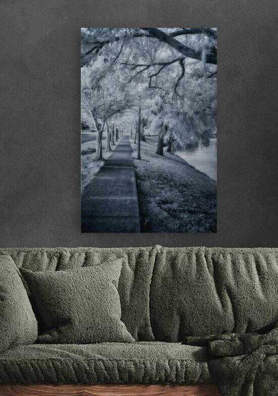 Spanish Moss Promenade by Dream World Images