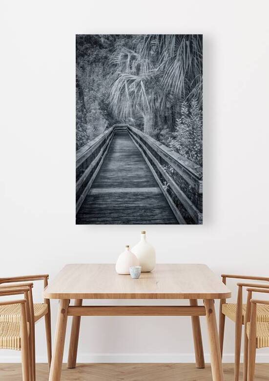 Selenium Boardwalk by Dream World Images