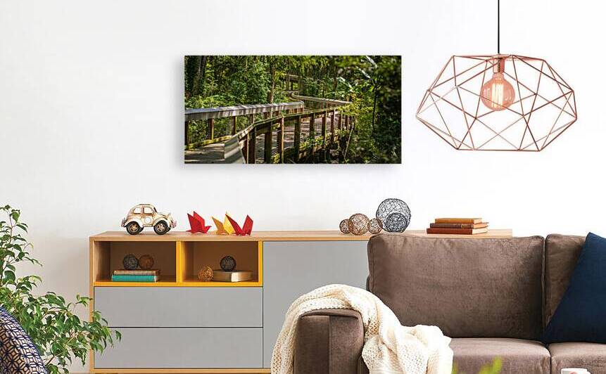 Green Boardwalk by Dream World Images