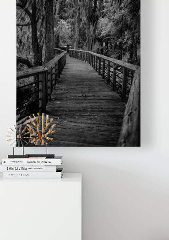 Mystic Passage by Dream World Images