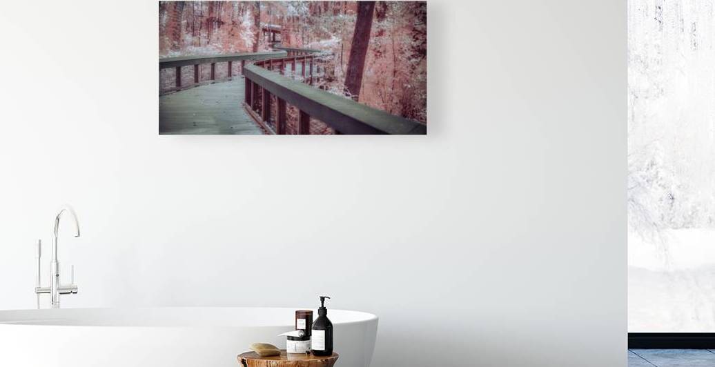 Winding Dreams Boardwalk by Dream World Images