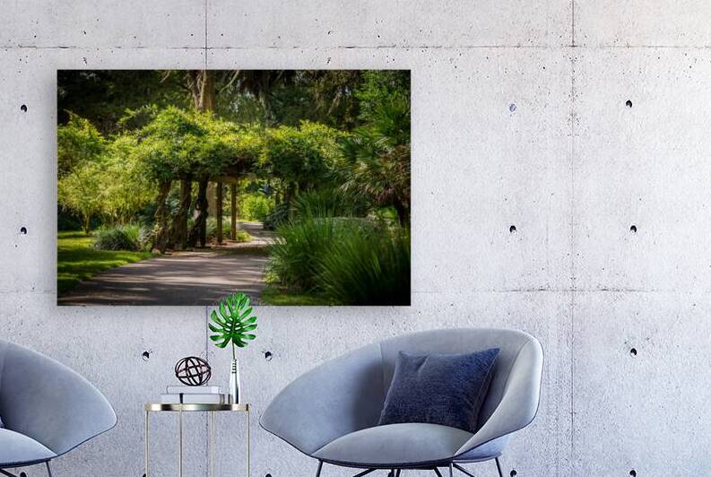 Rainbow Springs Path by Dream World Images