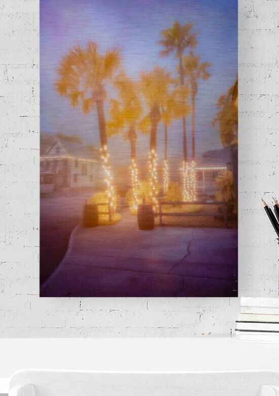 Enchanting Saint Augustine: Palm Trees Aglow with Christmas Magic by Dream World Images