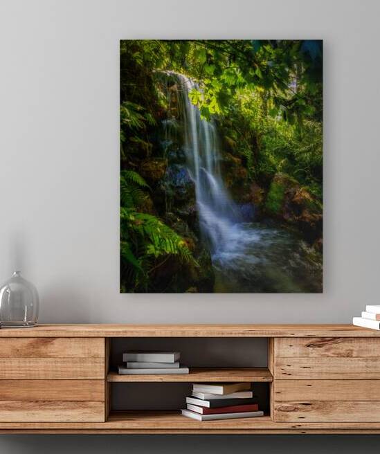 Short Falls in Florida by Dream World Images