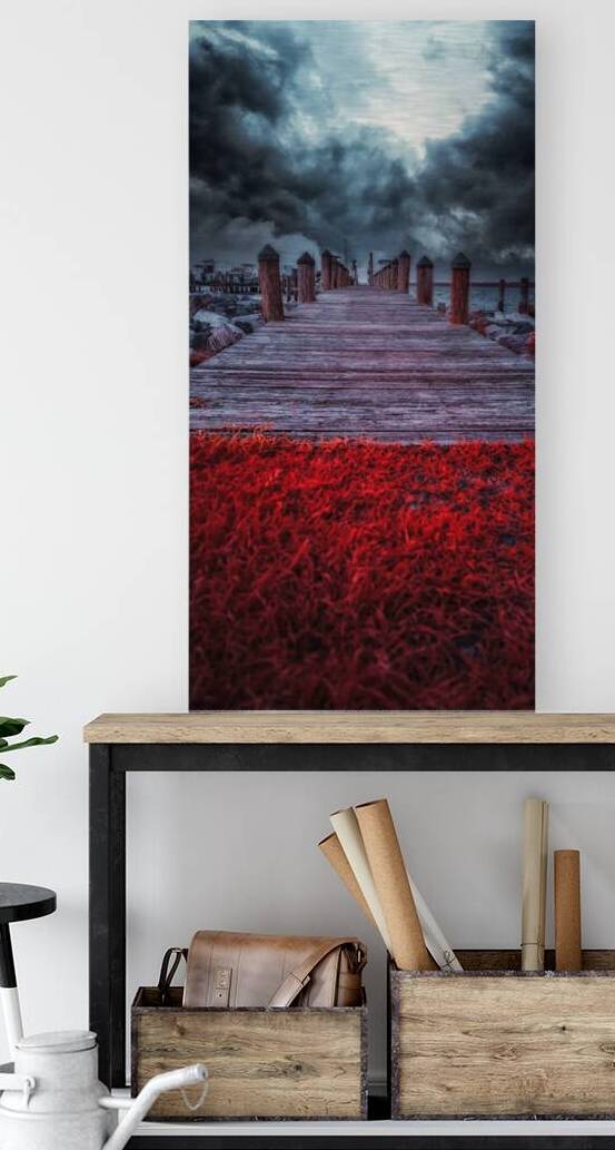 Storms Dance: A Memorable Infrared Moment on Brooms Island Maryland by Dream World Images