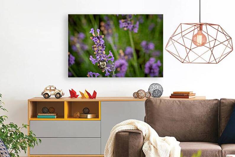 Happy Bee by Dream World Images