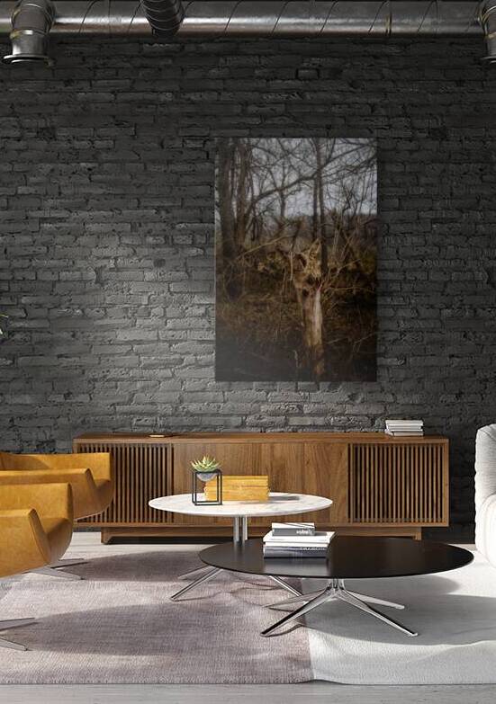 Natures Twisted Remnant by Dream World Images