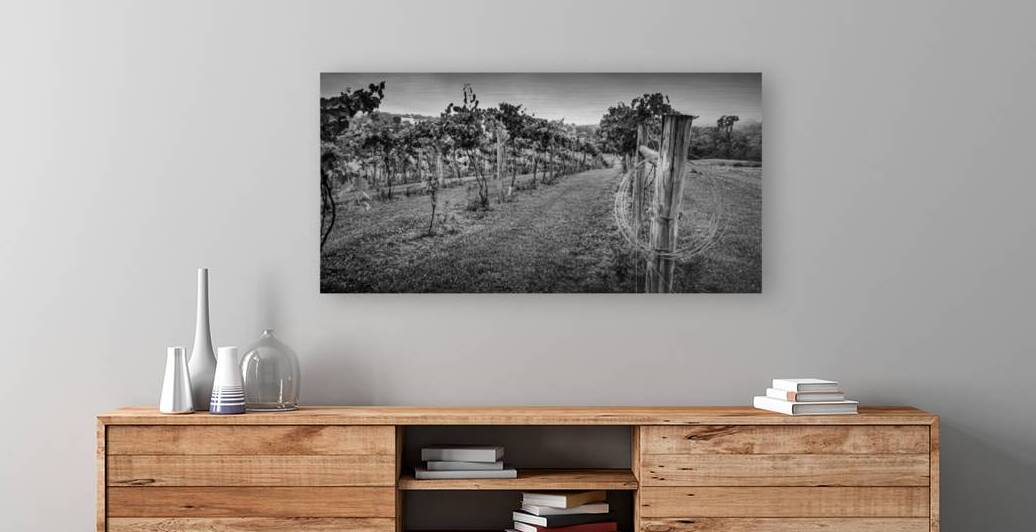 Extra Wire by Dream World Images