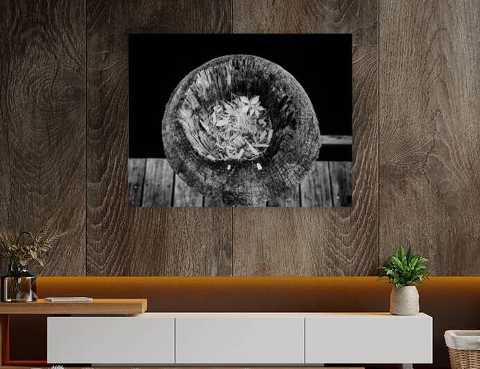 Echoes Within Wood by Dream World Images