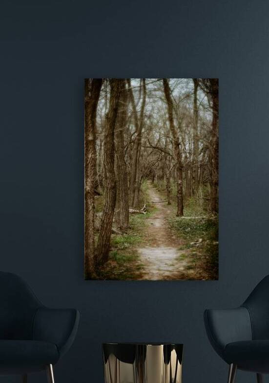 Woodlands Ancient Path by Dream World Images