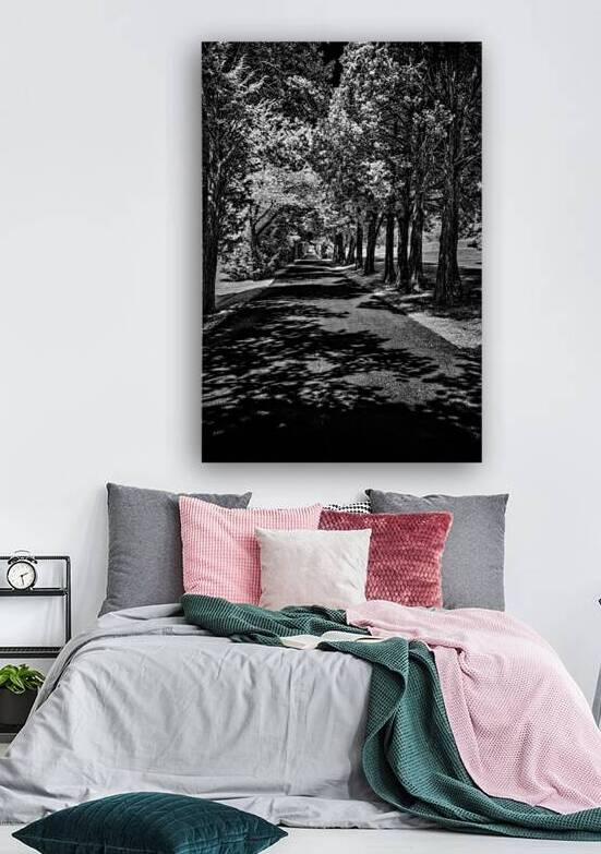 Shadows Path Beckons by Dream World Images