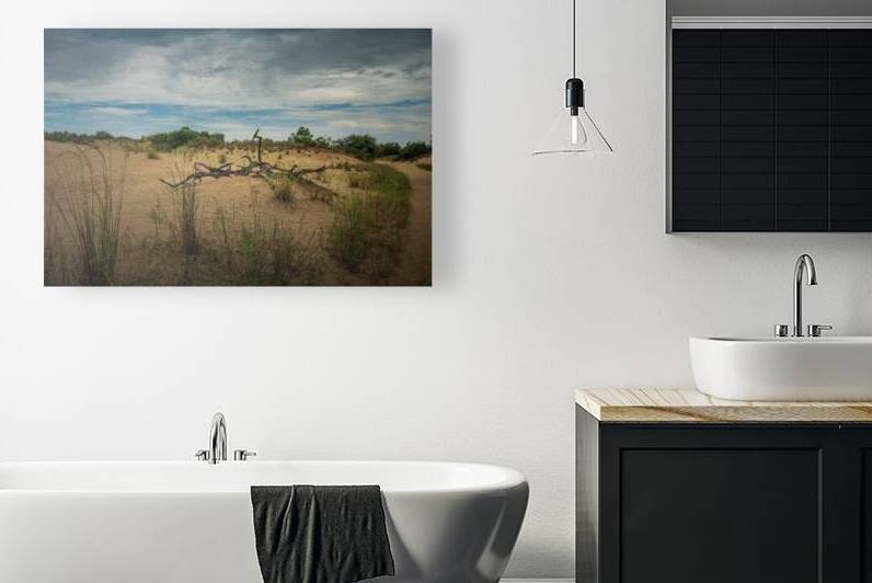 Jockey Ridge - 1 by Dream World Images