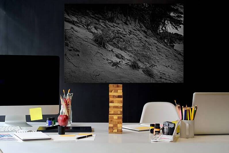 Dunes Shadow Symphony by Dream World Images