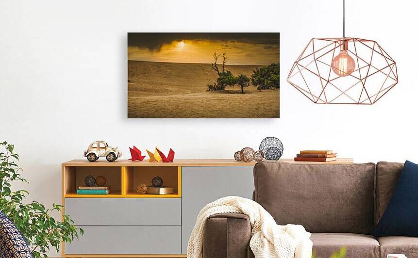 Dunes of Change: Jockey Ridge Sunset by Dream World Images