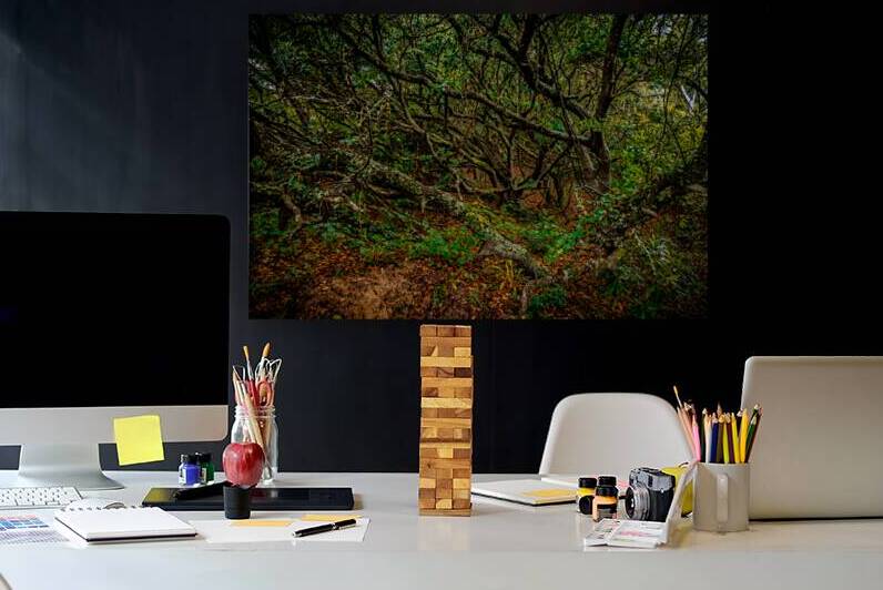 Whispers of a Hidden Forest: Exploring Jockey Ridge State Park by Dream World Images