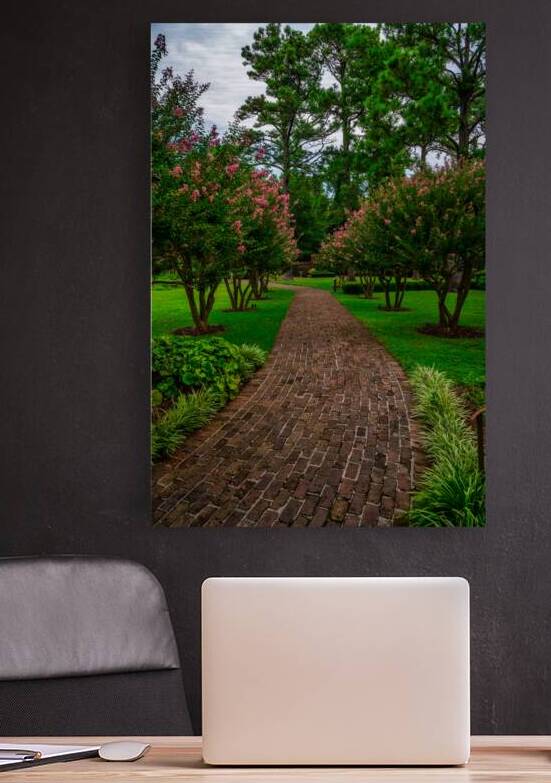 Crepe Myrtles Pathway by Dream World Images