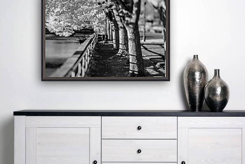 Monochrome Serenity: Exploring Yorks Riverside Beauty by Dream World Images