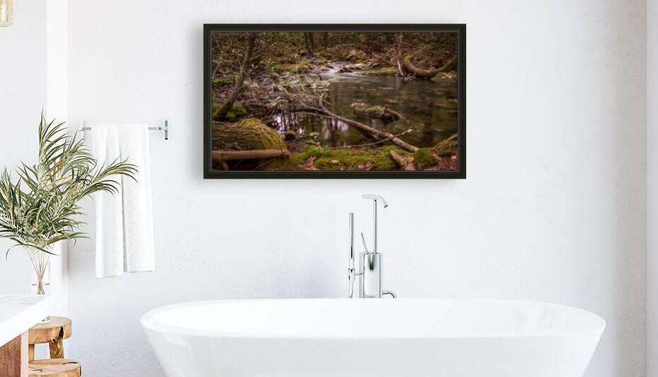 Natures Gentle Arc by Dream World Images