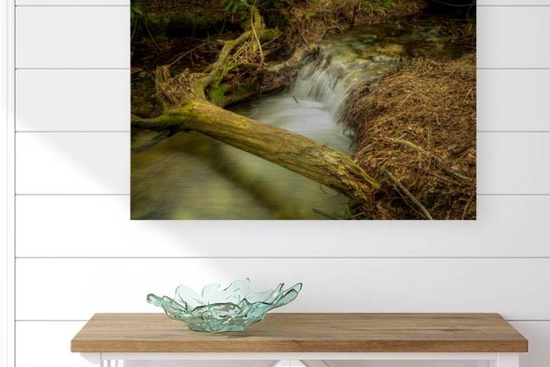 Birch Run Waterfall by Dream World Images