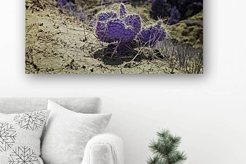 Deserts Purple Heart by Dream World Images