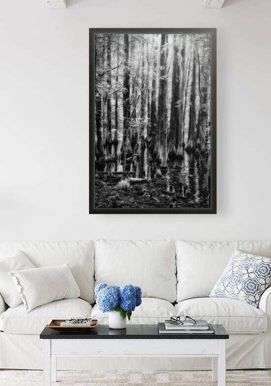 Cypress Whispers by Dream World Images