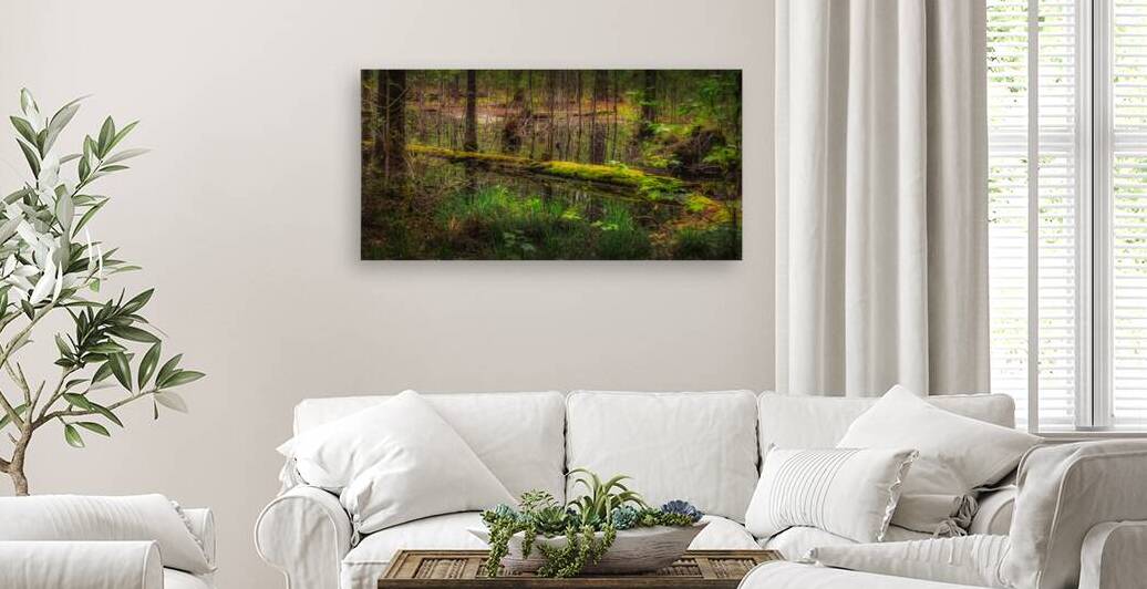 Mossy Log by Dream World Images