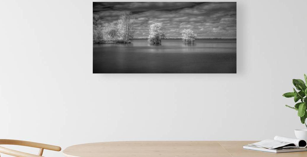 Tranquil Cypress Dreams: Santee State Park by Dream World Images