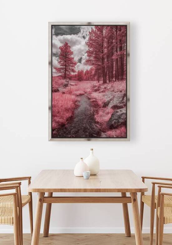 Red Meadow  by Dream World Images