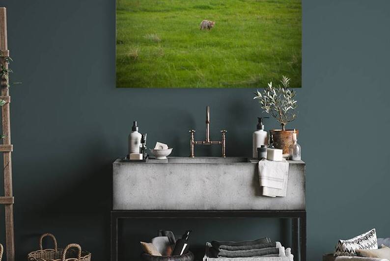 Wild Encounters: The Watchful Eye by Dream World Images