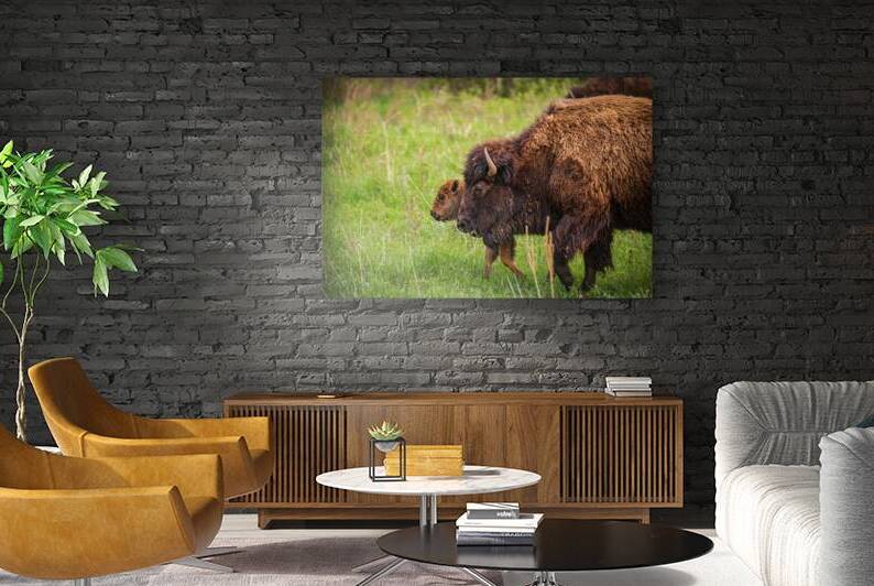 Bison Tales: Guardians of the Grasslands by Dream World Images