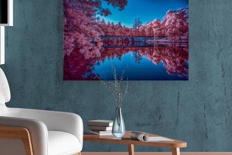 Infrared Oasis: Pink Arches by Dream World Images