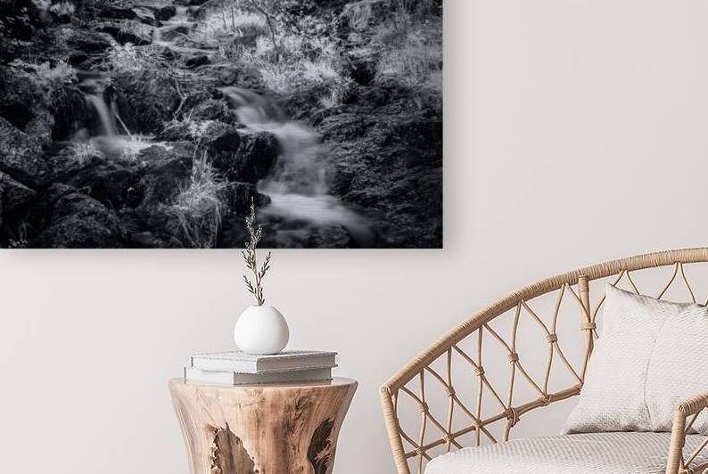 Bismarcks Silver Dance by Dream World Images