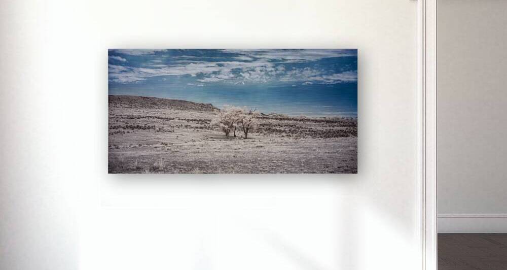 A Rainy Night Turns Bright: Exploring Shamrock Texas Ranch by Dream World Images